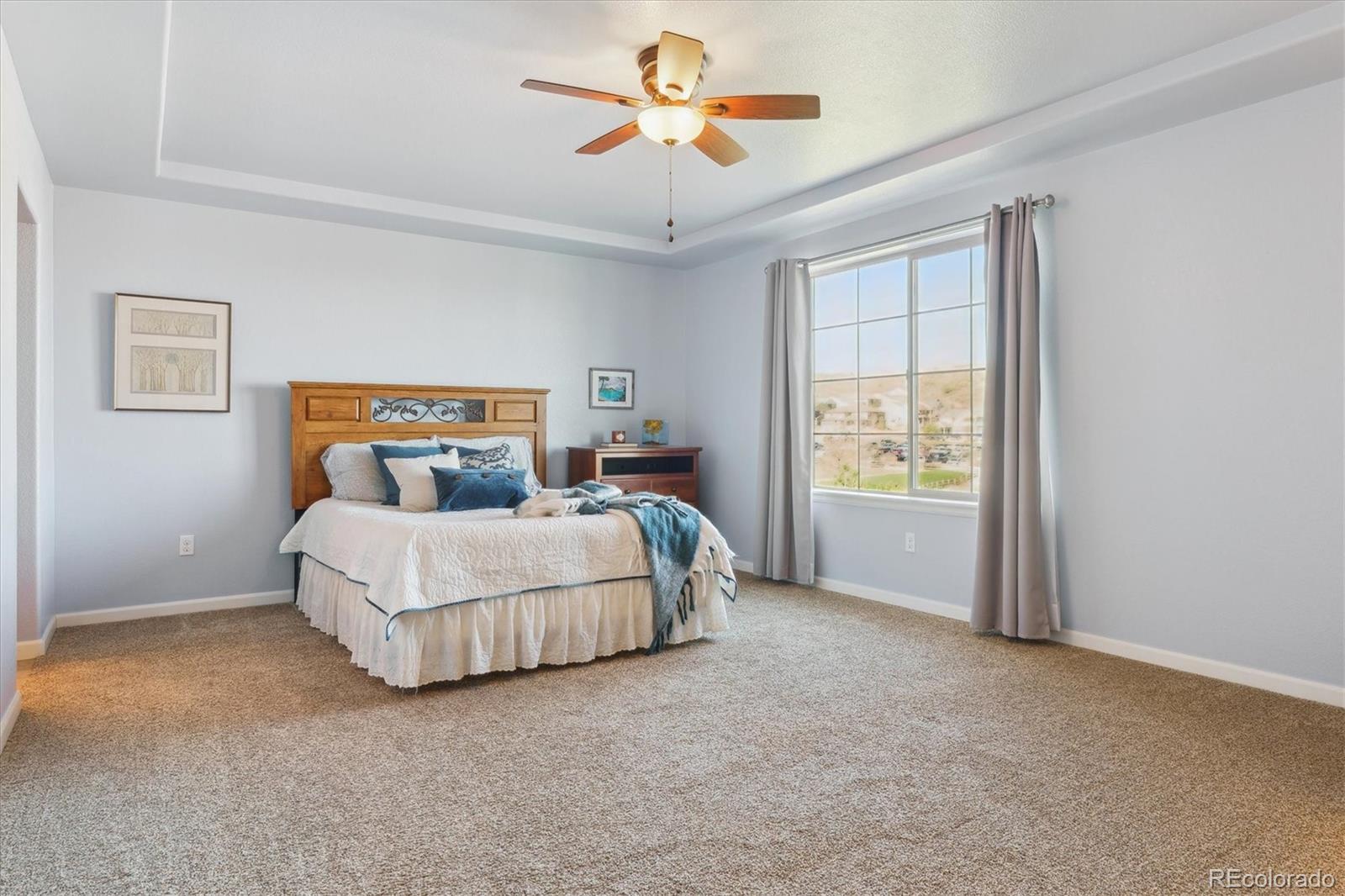MLS Image #19 for 3727  starry night loop,castle rock, Colorado