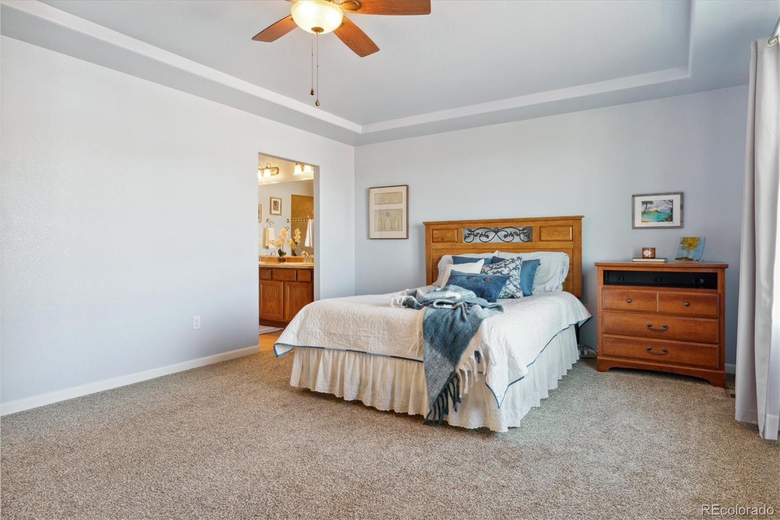 MLS Image #20 for 3727  starry night loop,castle rock, Colorado