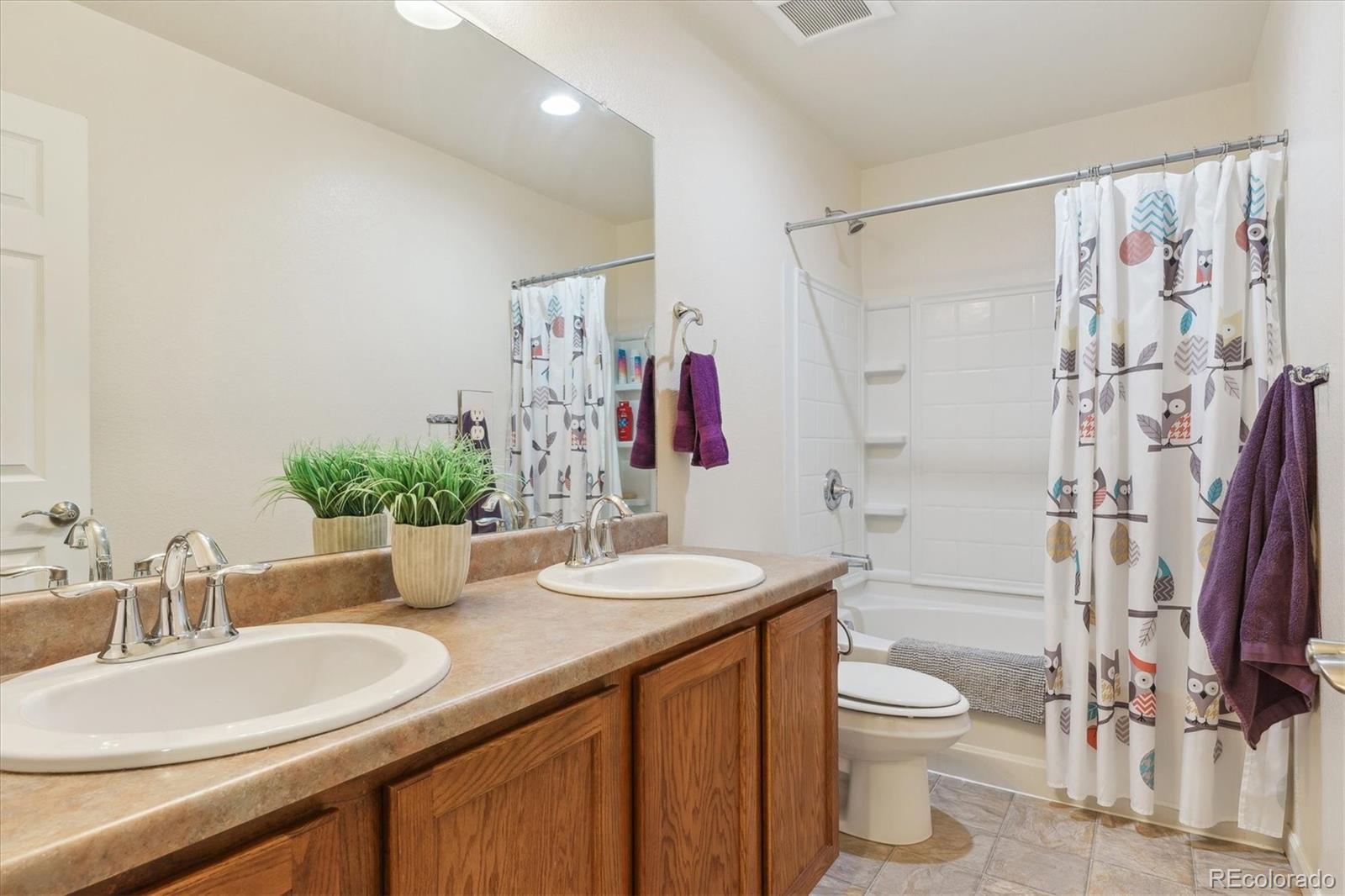MLS Image #28 for 3727  starry night loop,castle rock, Colorado