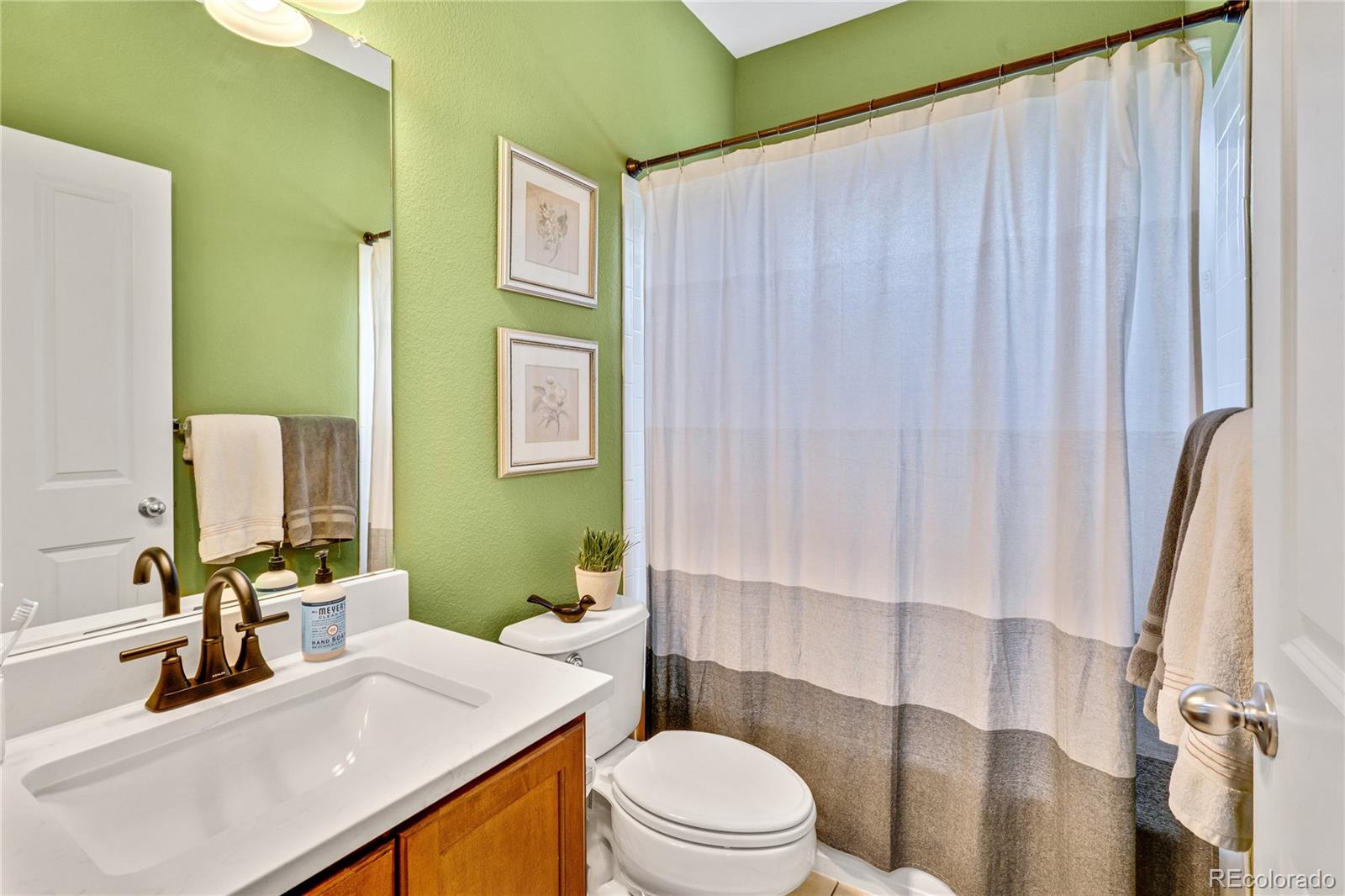 MLS Image #18 for 1033  petras street,erie, Colorado