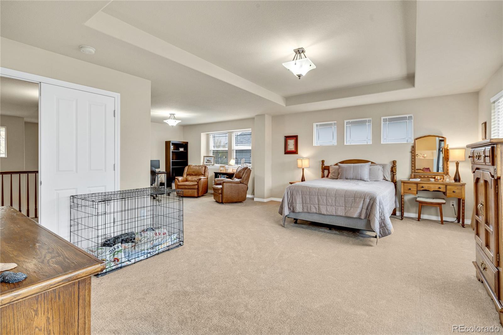 MLS Image #20 for 1033  petras street,erie, Colorado