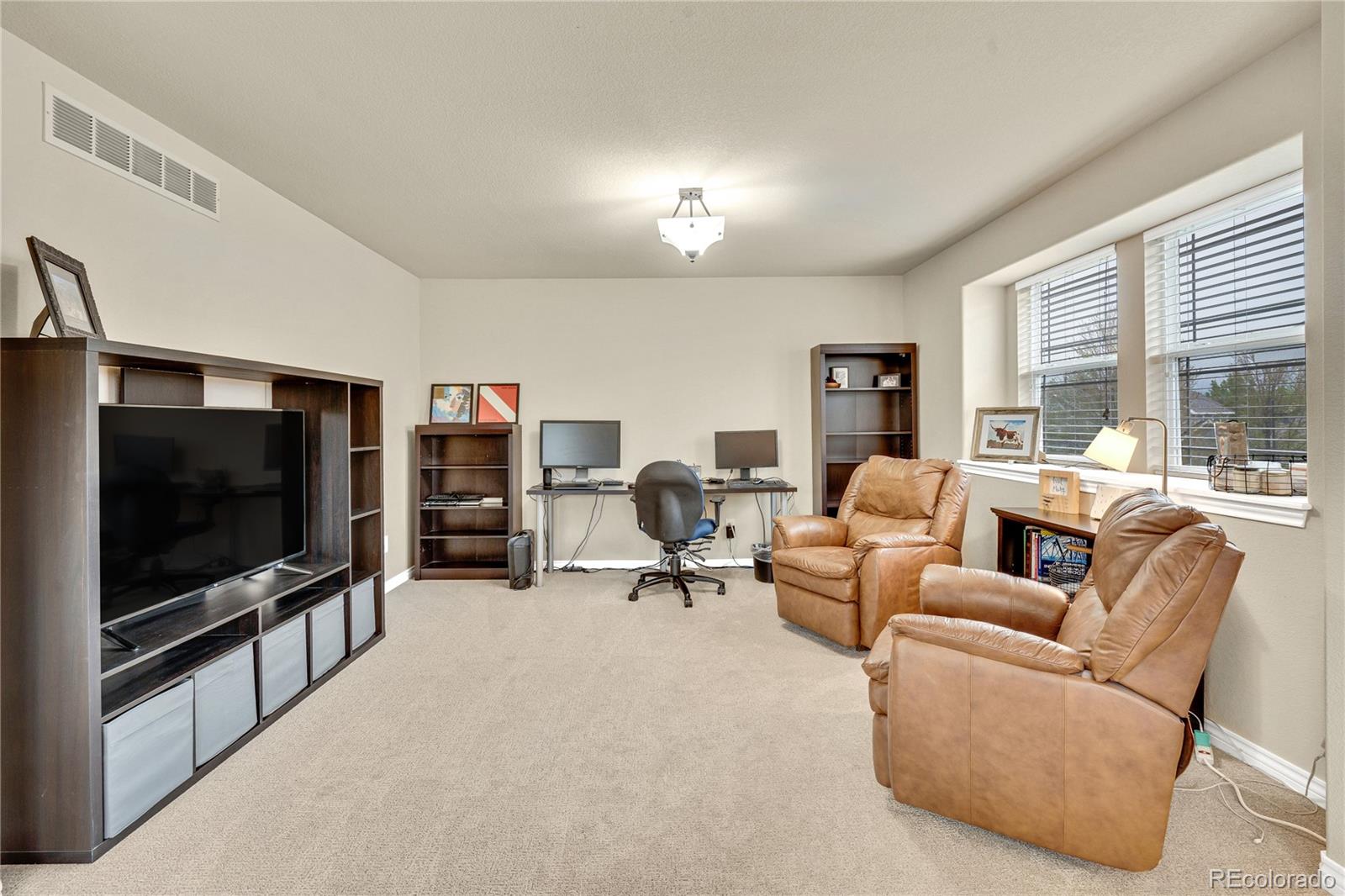 MLS Image #22 for 1033  petras street,erie, Colorado