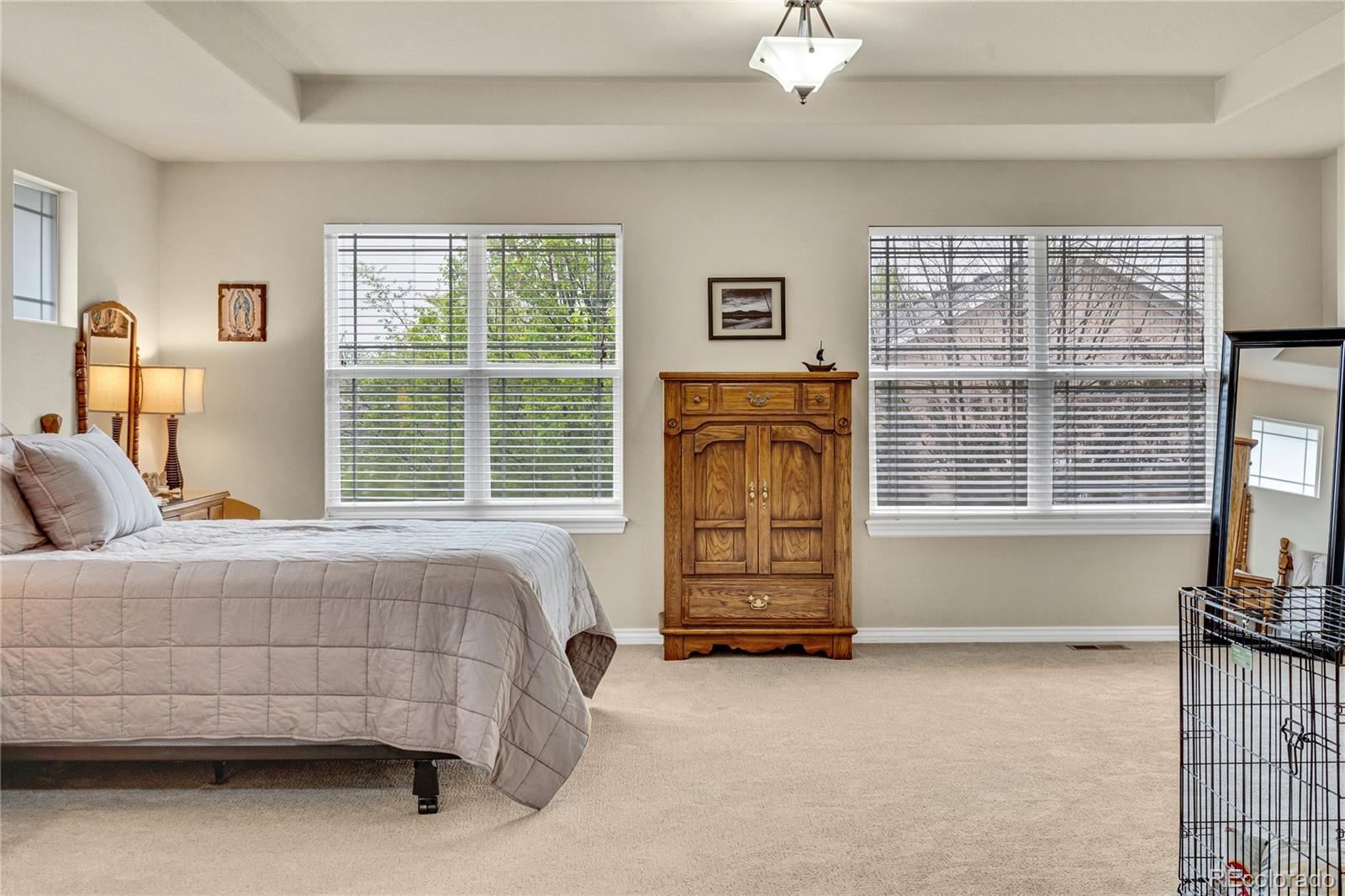 MLS Image #23 for 1033  petras street,erie, Colorado