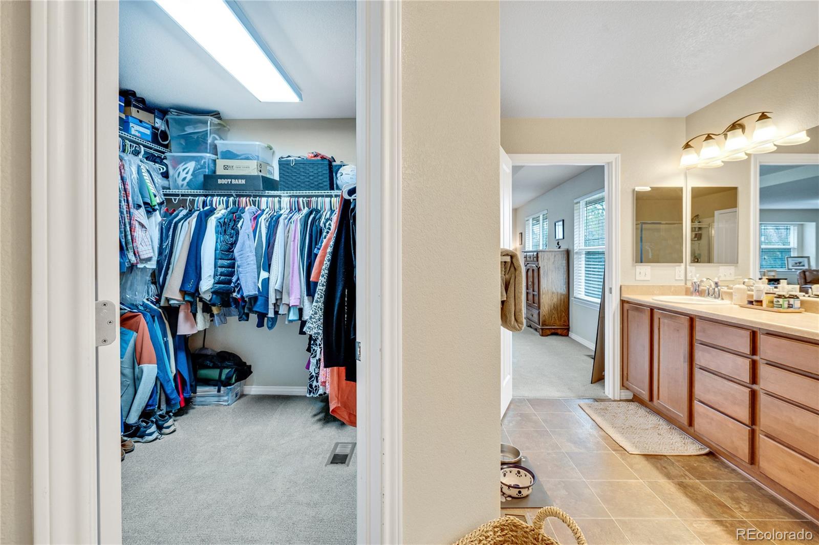 MLS Image #24 for 1033  petras street,erie, Colorado