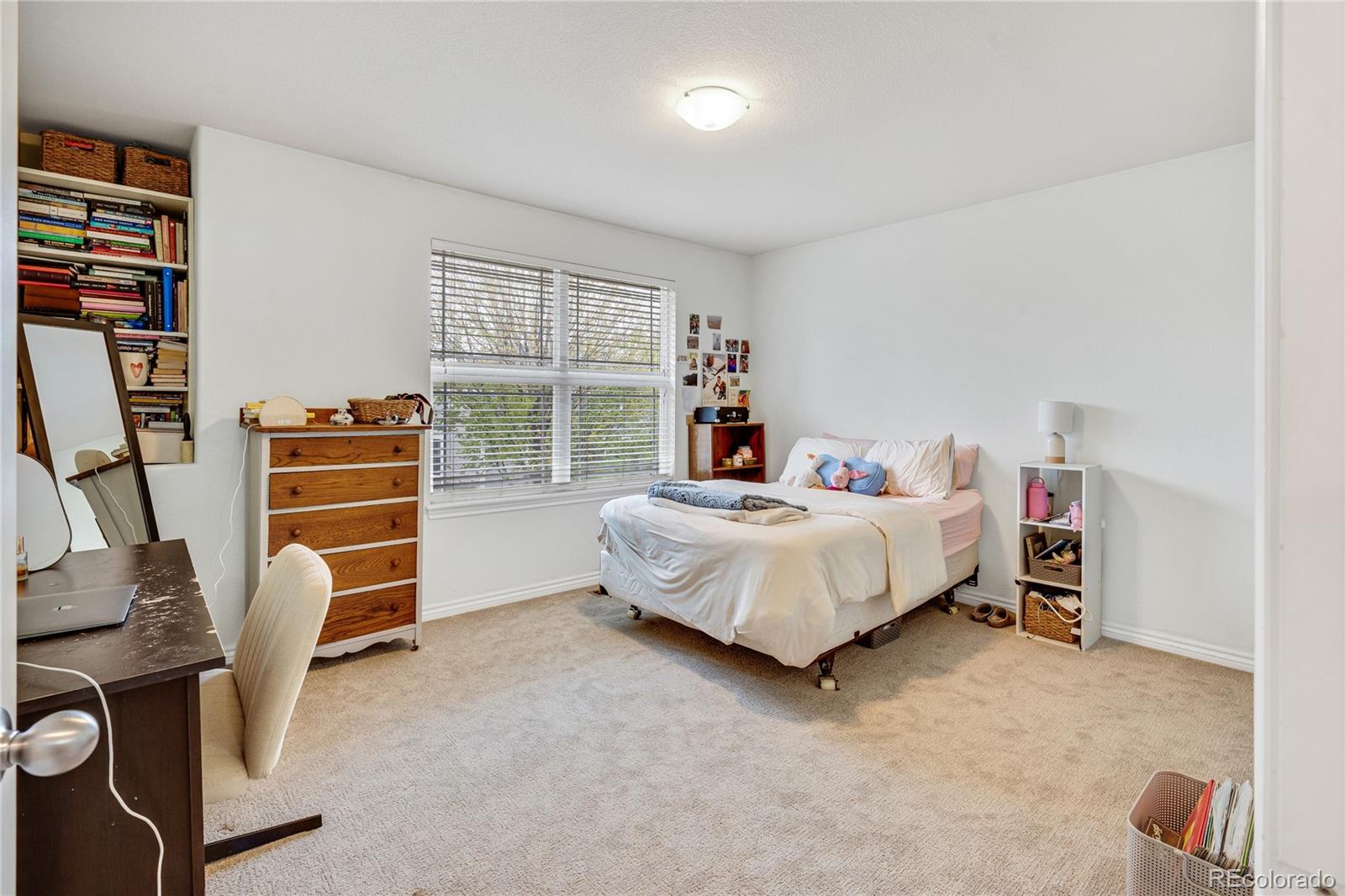 MLS Image #29 for 1033  petras street,erie, Colorado