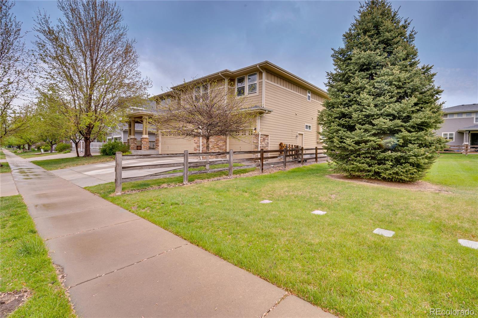 MLS Image #37 for 1033  petras street,erie, Colorado