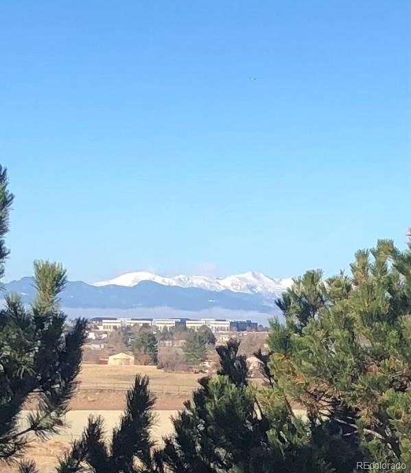 MLS Image #10 for 9481  longstone drive,parker, Colorado