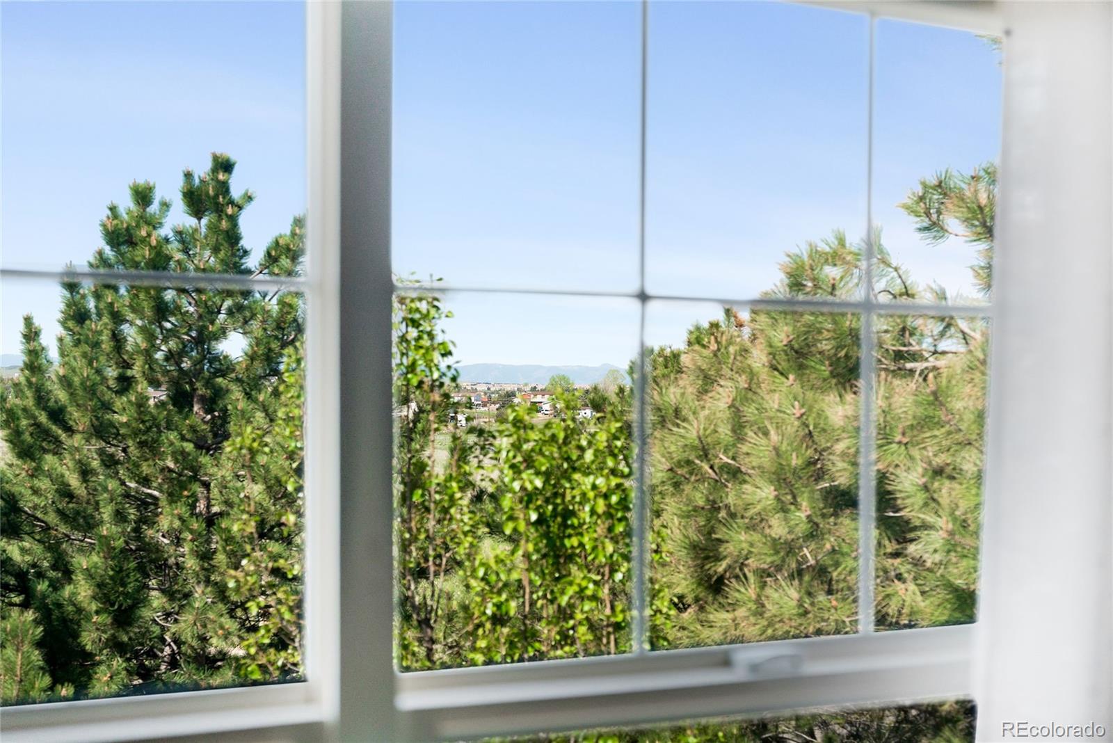 MLS Image #17 for 9481  longstone drive,parker, Colorado