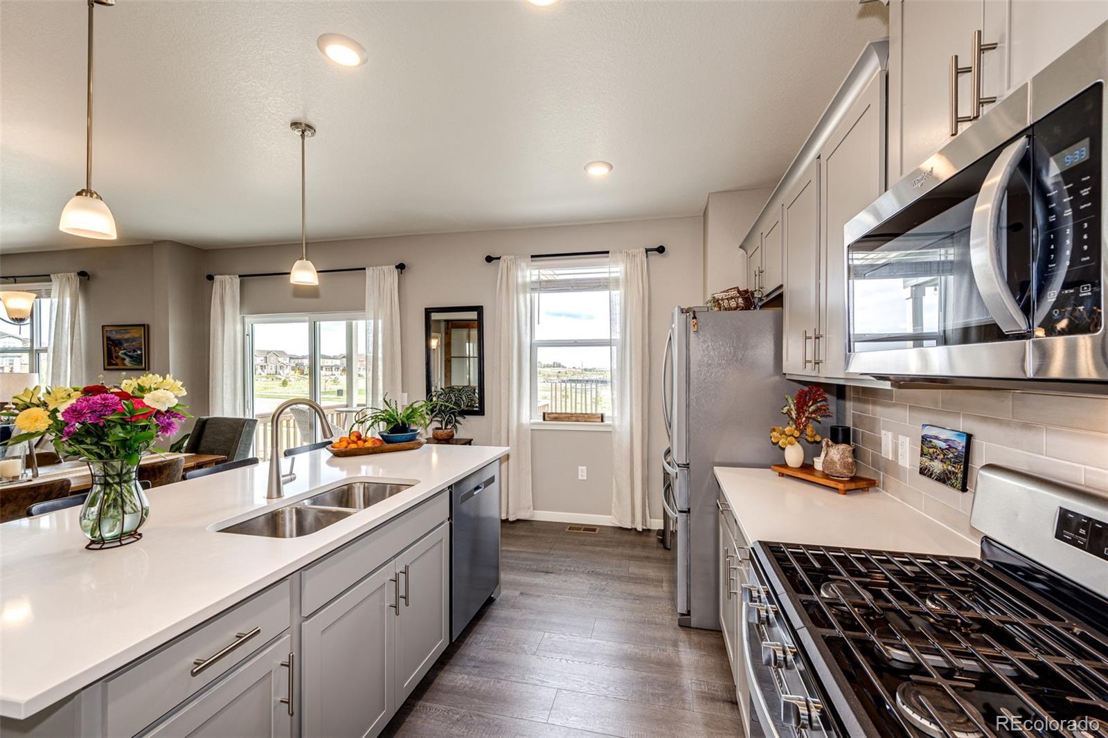 MLS Image #16 for 17955  sky pilot avenue,parker, Colorado