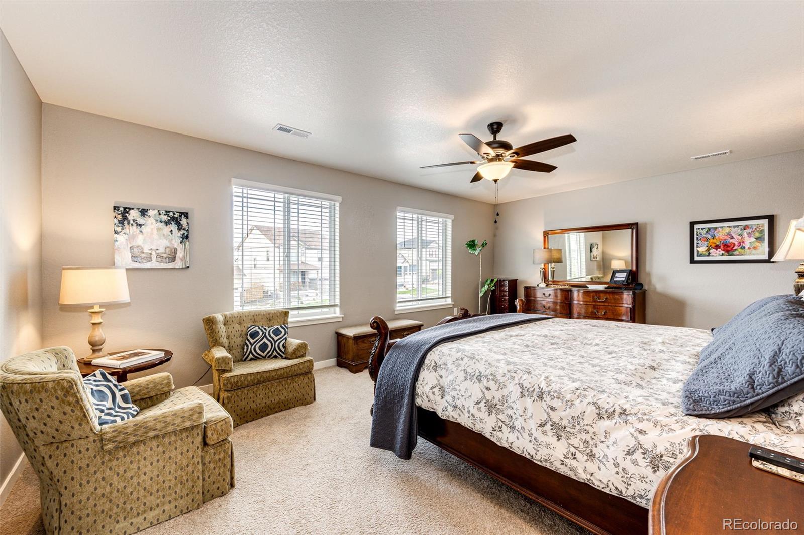 MLS Image #20 for 17955  sky pilot avenue,parker, Colorado