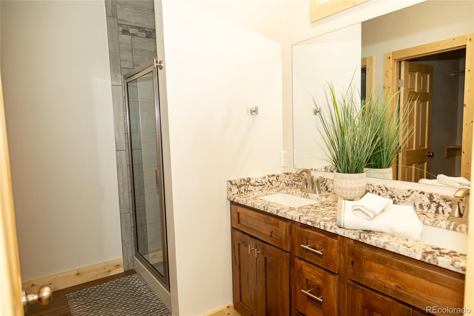 MLS Image #10 for 416  apex drive,creede, Colorado