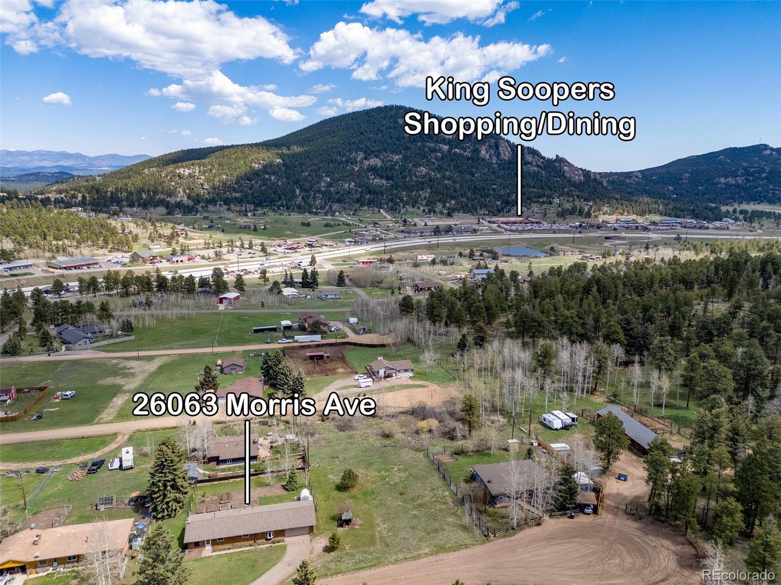 MLS Image #32 for 26063  morris avenue,conifer, Colorado