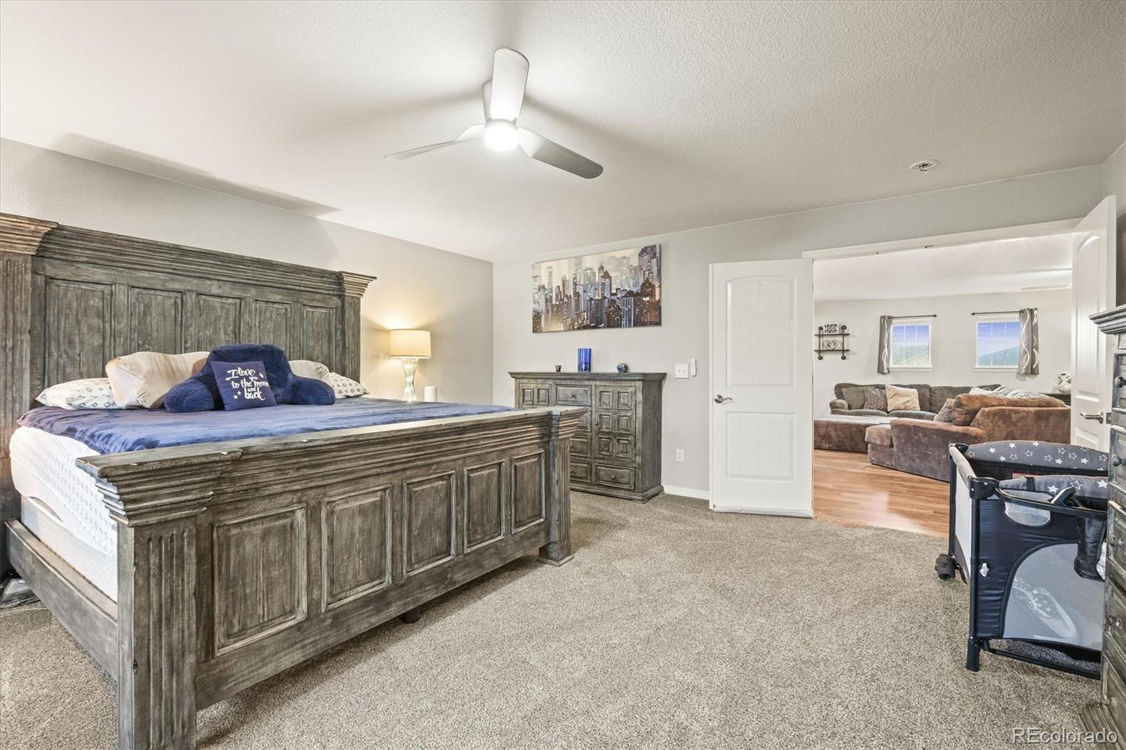 MLS Image #16 for 3677  reindeer circle,colorado springs, Colorado