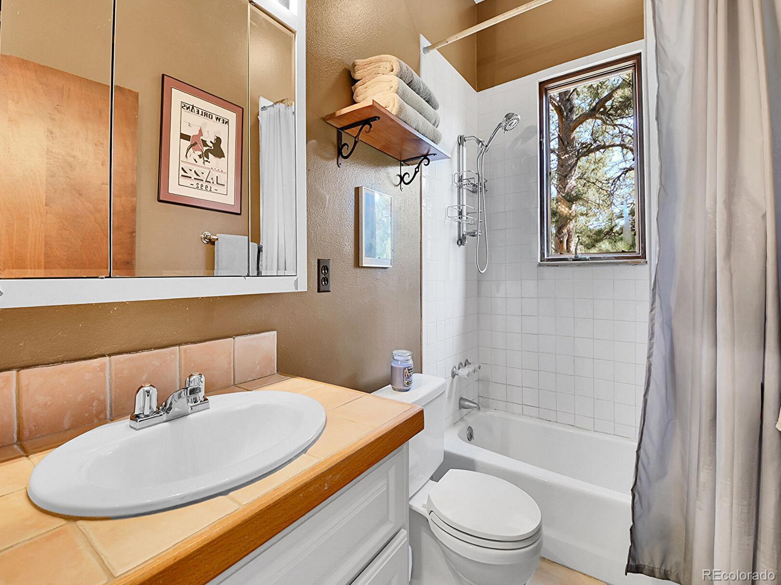 MLS Image #17 for 1150  impala trail,bailey, Colorado