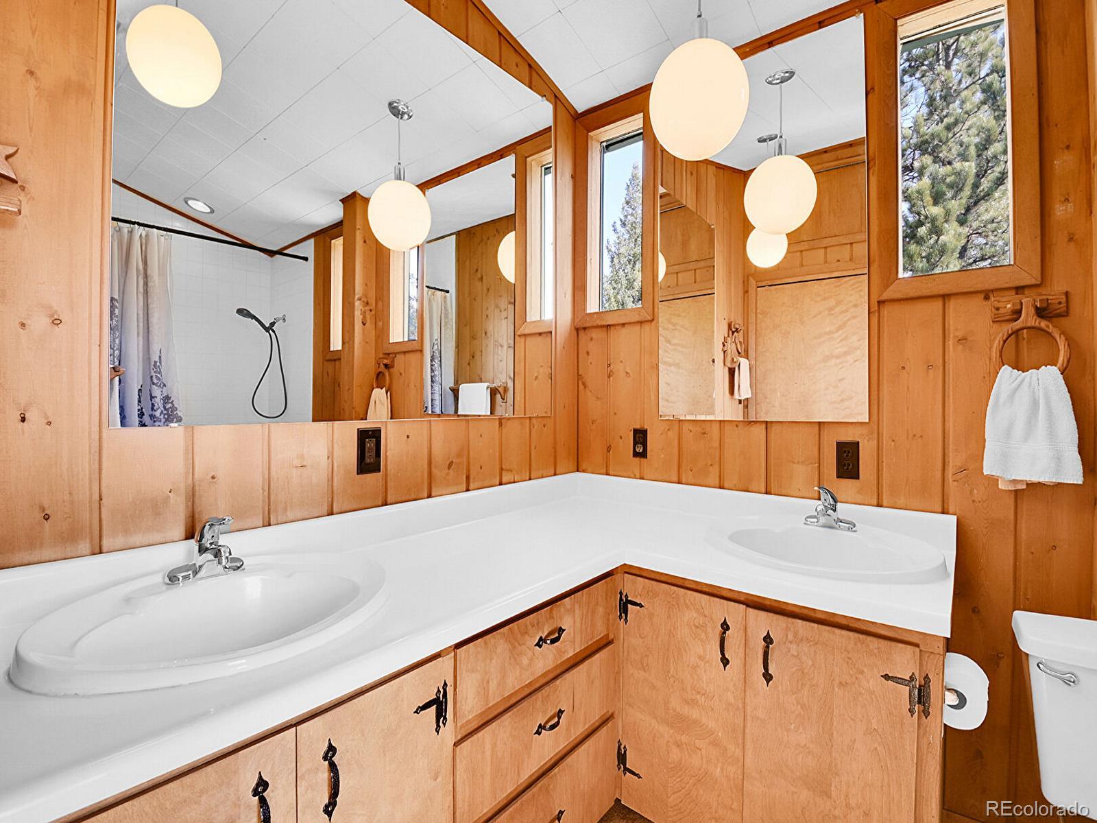 MLS Image #21 for 1150  impala trail,bailey, Colorado