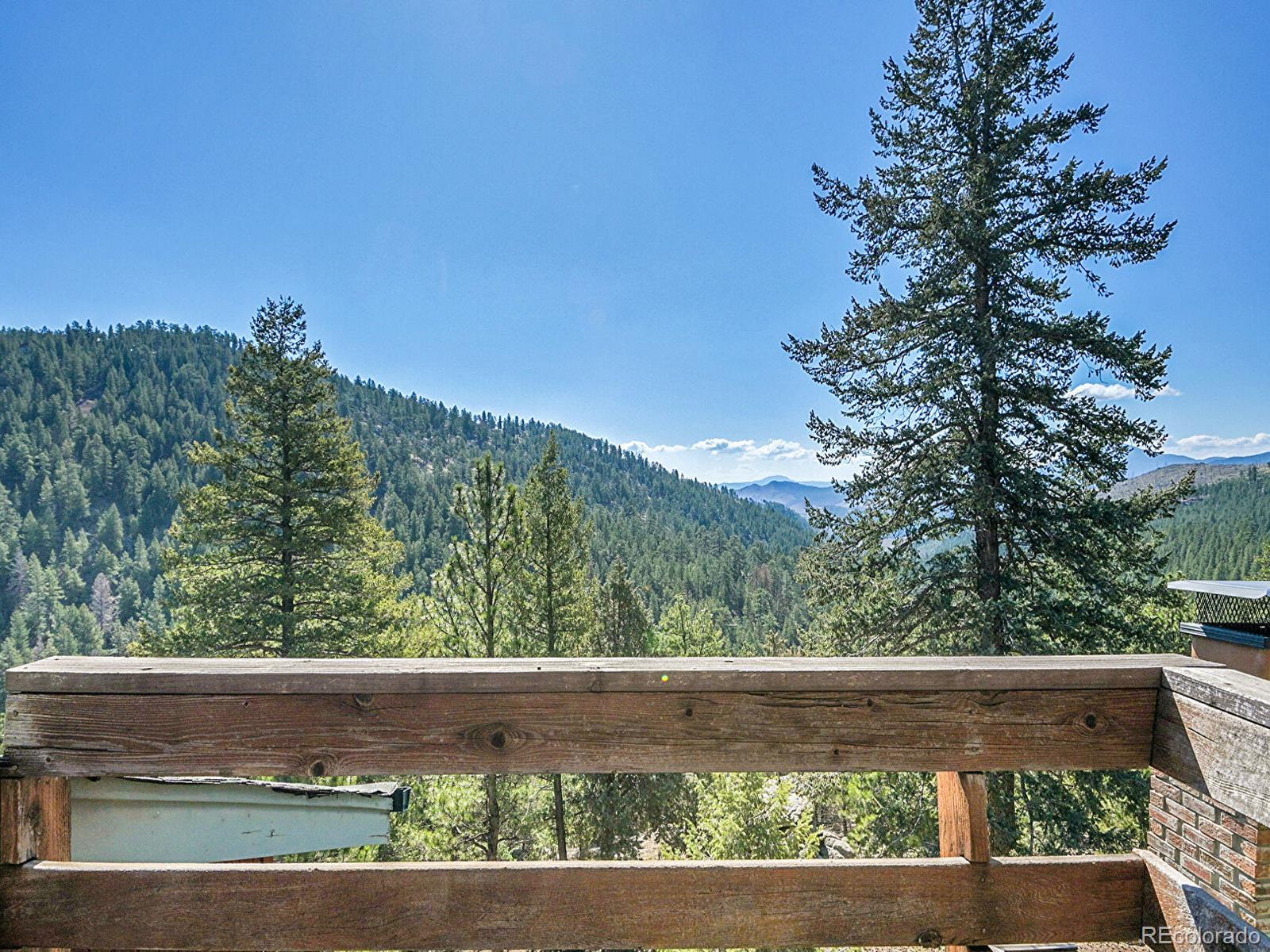 MLS Image #22 for 1150  impala trail,bailey, Colorado