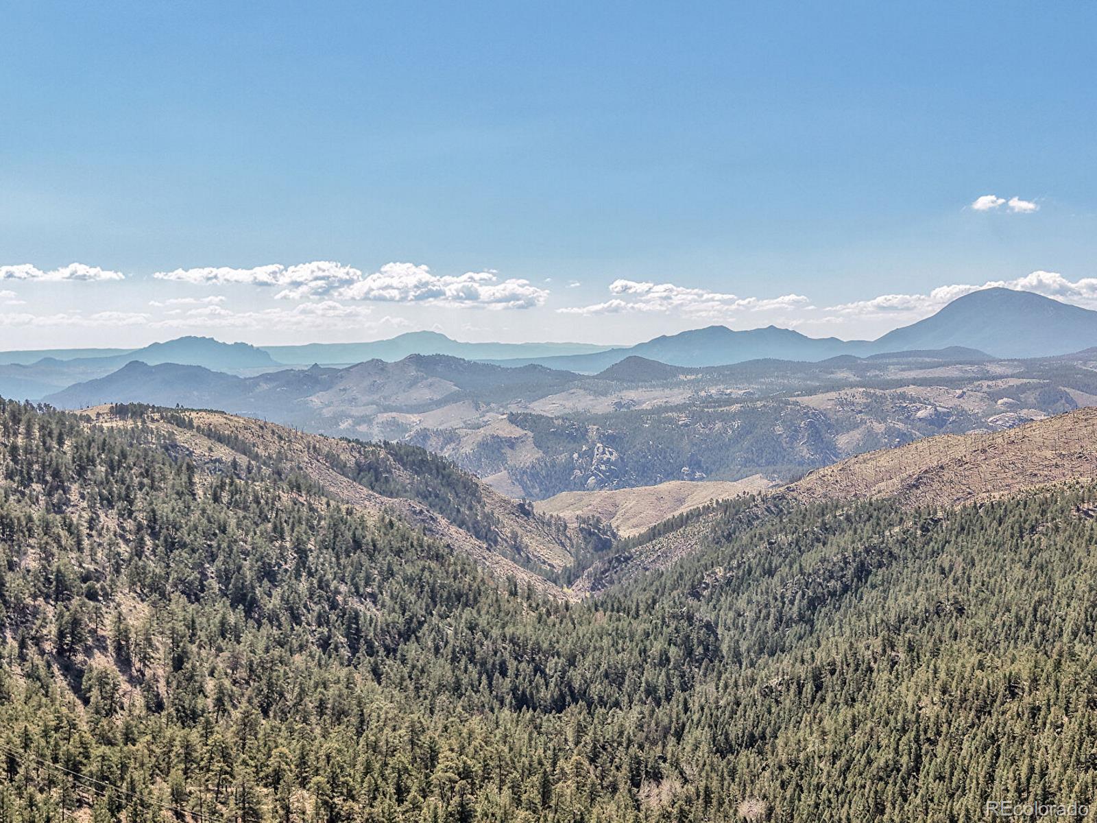 MLS Image #3 for 1150  impala trail,bailey, Colorado