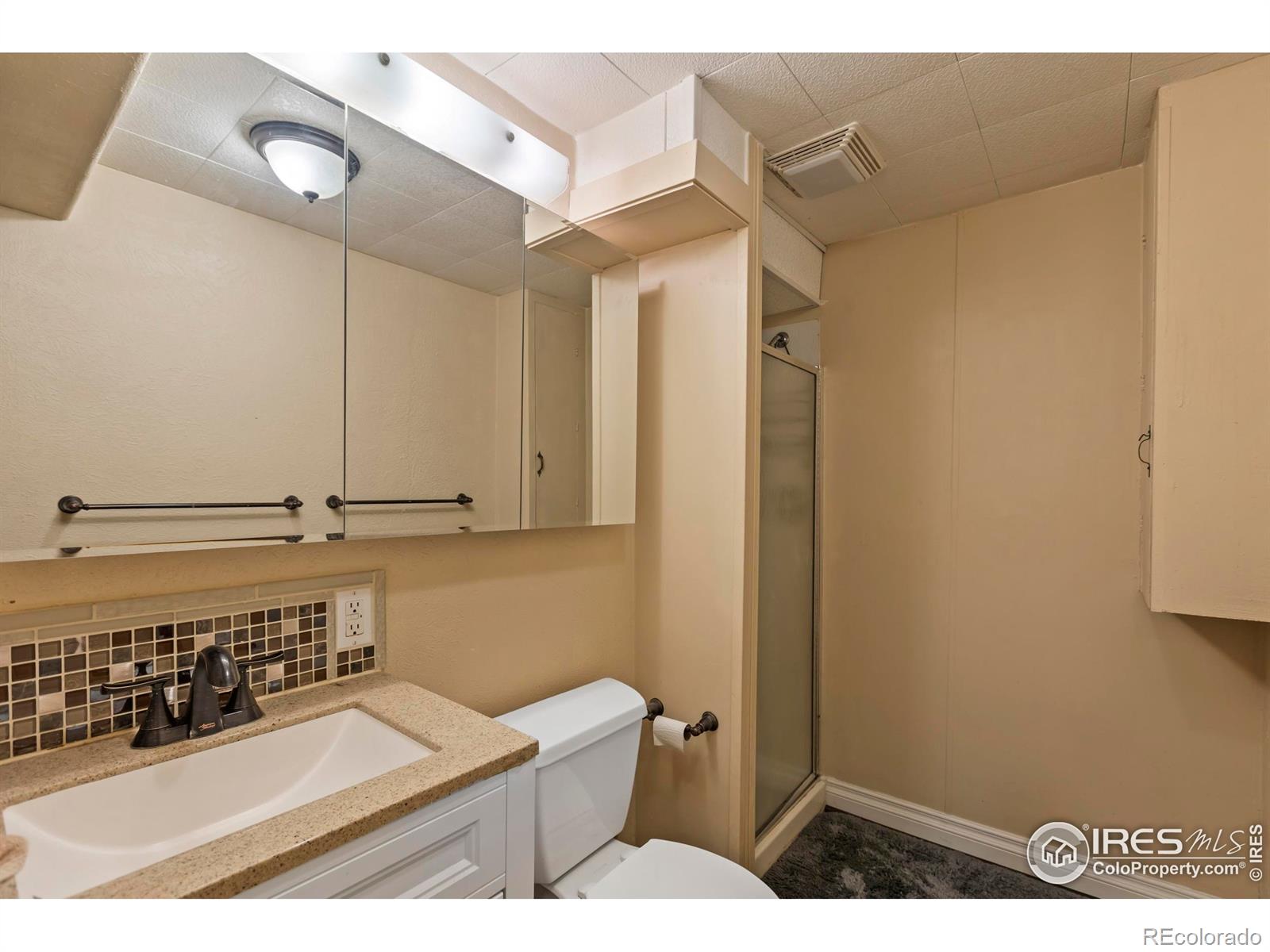 MLS Image #30 for 944  sitka court,loveland, Colorado
