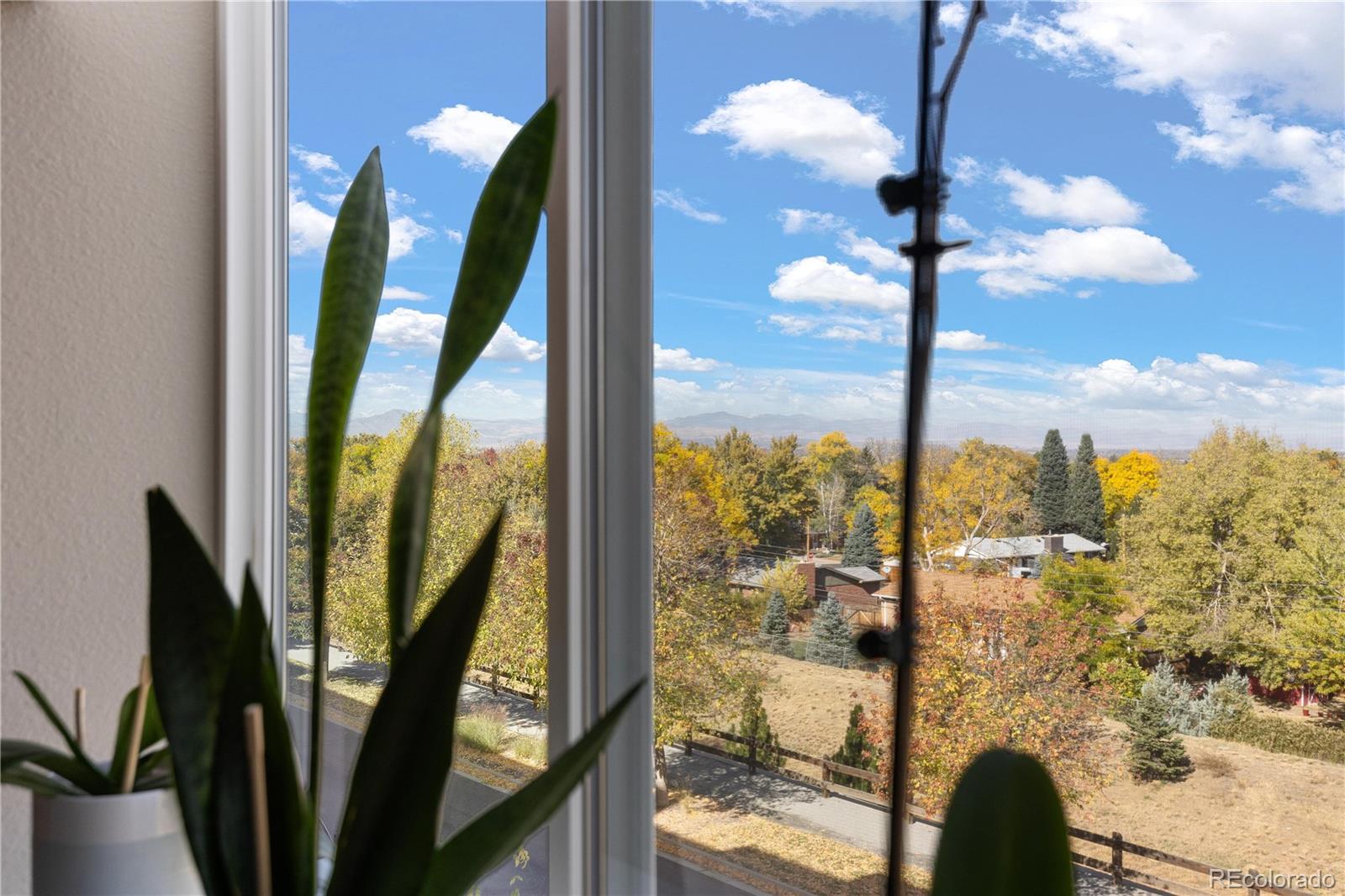 MLS Image #13 for 420 e fremont place,centennial, Colorado