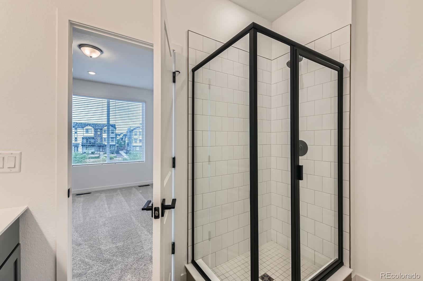 MLS Image #15 for 1755  peak loop,broomfield, Colorado