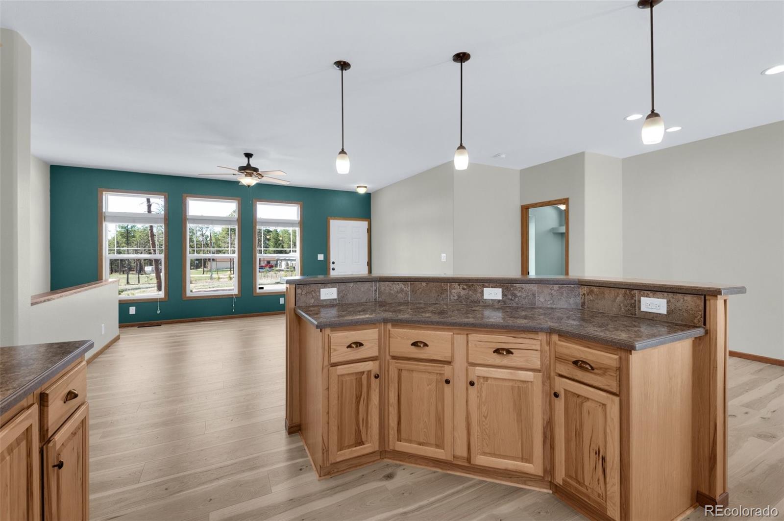 MLS Image #13 for 12730  porcupine lane,colorado springs, Colorado