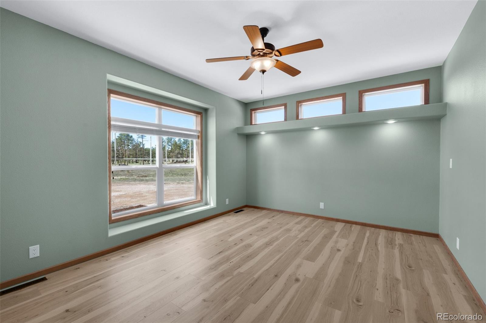MLS Image #17 for 12730  porcupine lane,colorado springs, Colorado