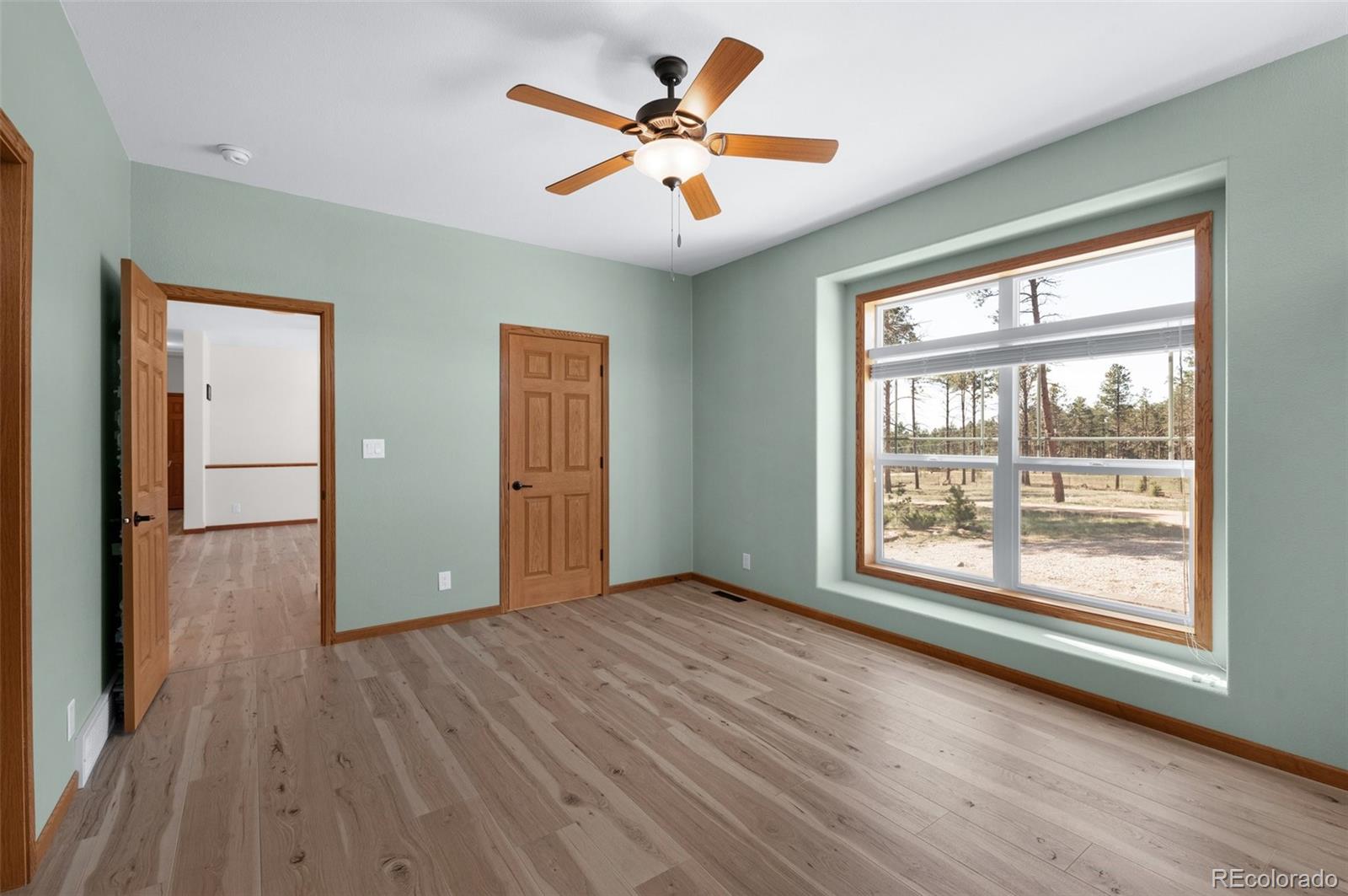 MLS Image #20 for 12730  porcupine lane,colorado springs, Colorado
