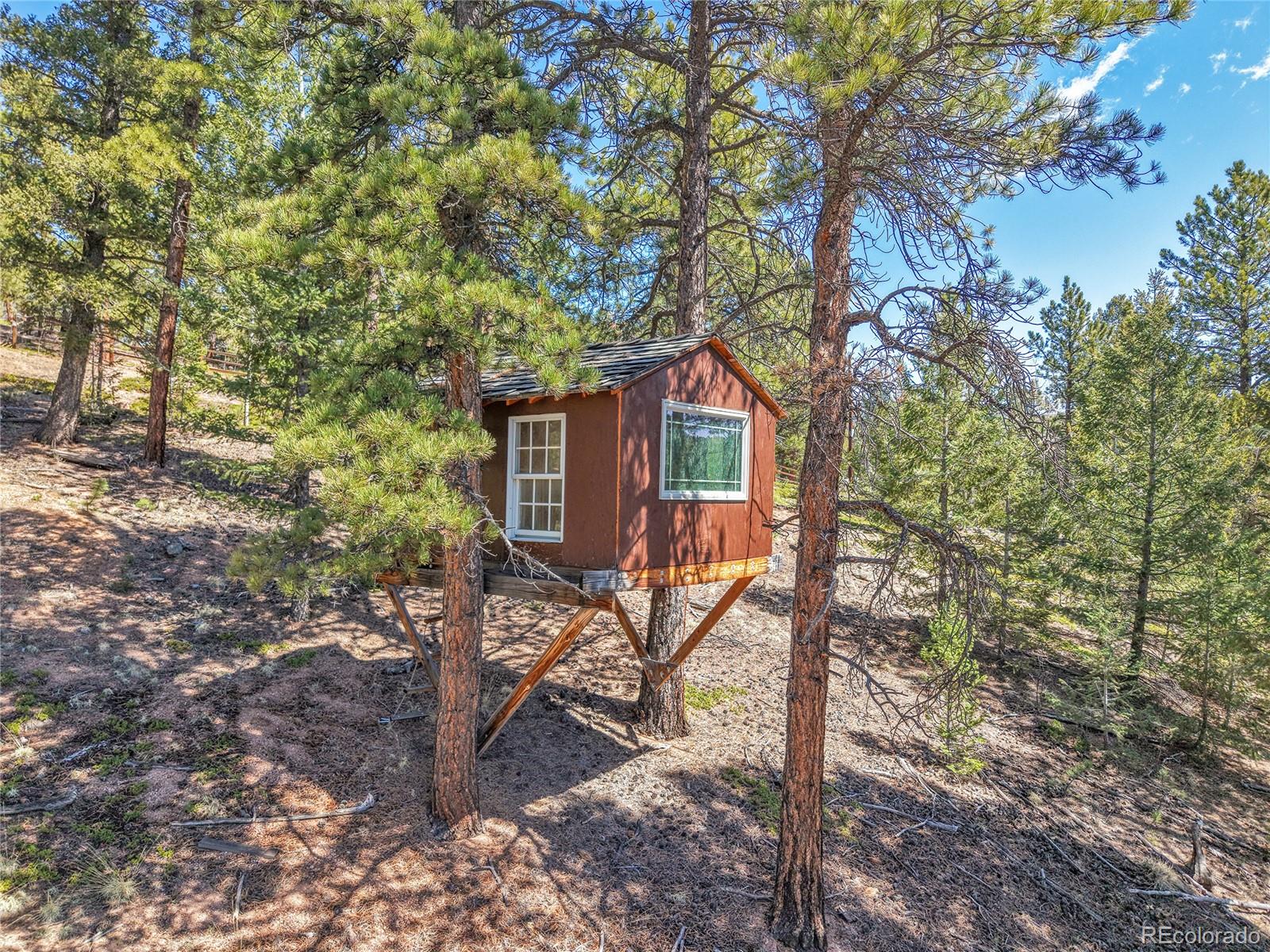 MLS Image #45 for 693  road c ,pine, Colorado