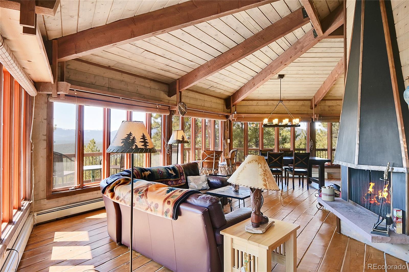 MLS Image #8 for 693  road c ,pine, Colorado