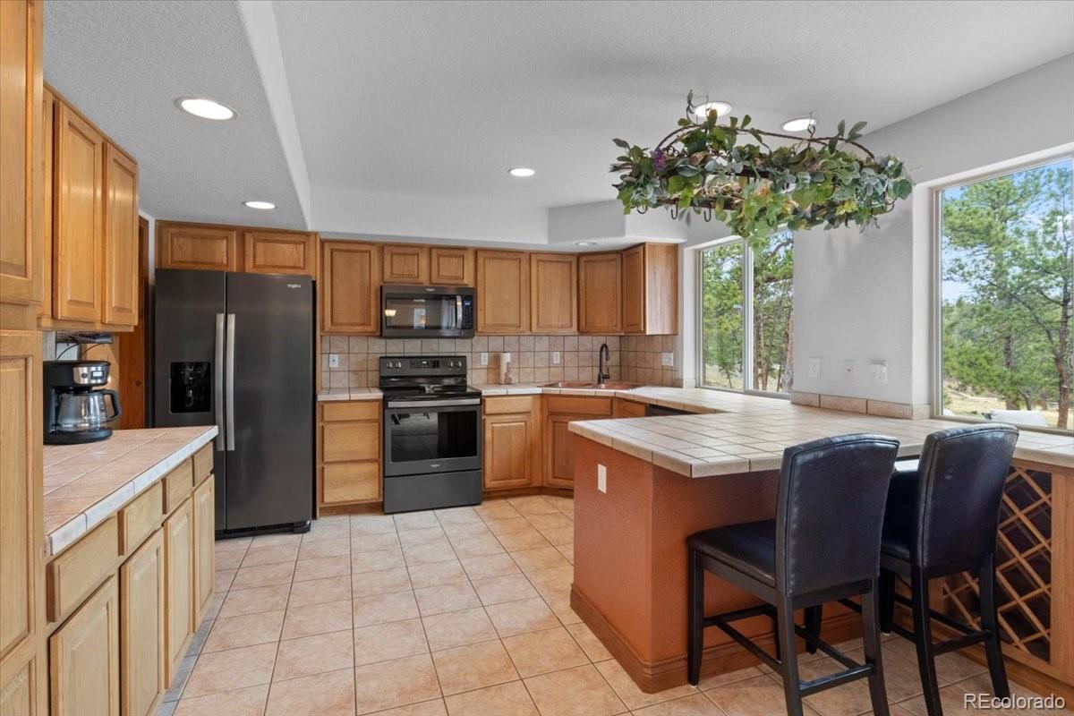 MLS Image #11 for 248  pine forest road,lake george, Colorado