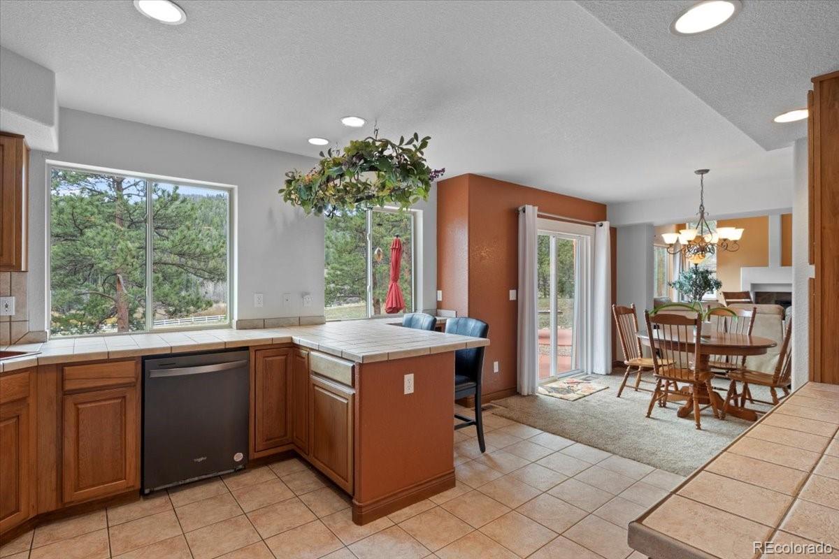MLS Image #12 for 248  pine forest road,lake george, Colorado