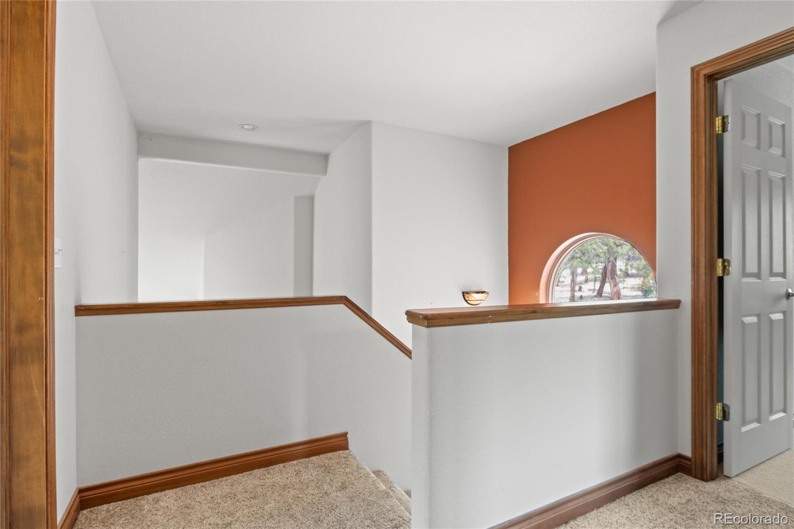 MLS Image #13 for 248  pine forest road,lake george, Colorado