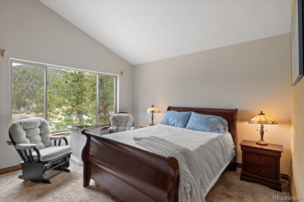 MLS Image #14 for 248  pine forest road,lake george, Colorado