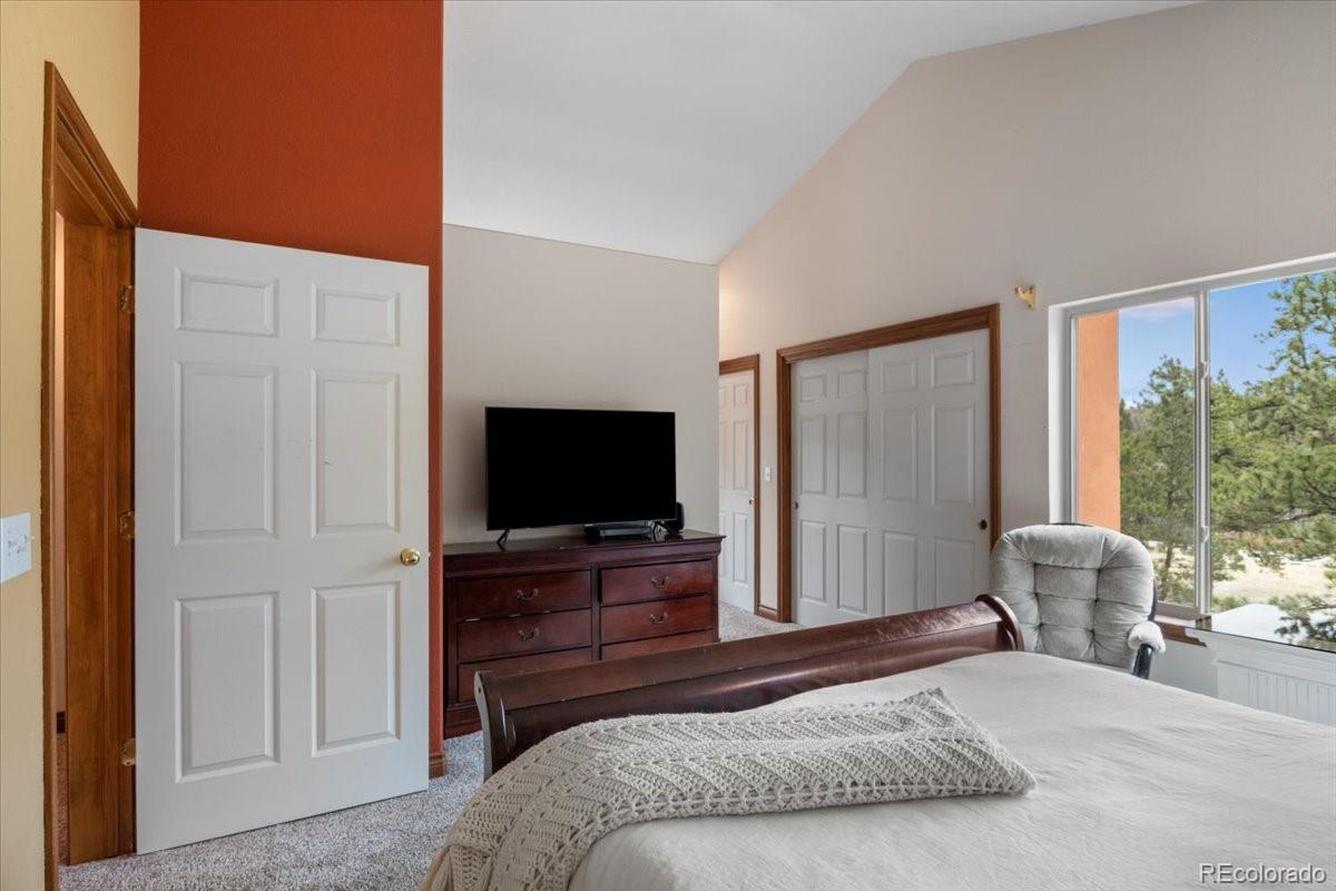 MLS Image #15 for 248  pine forest road,lake george, Colorado