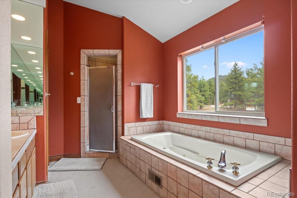 MLS Image #18 for 248  pine forest road,lake george, Colorado