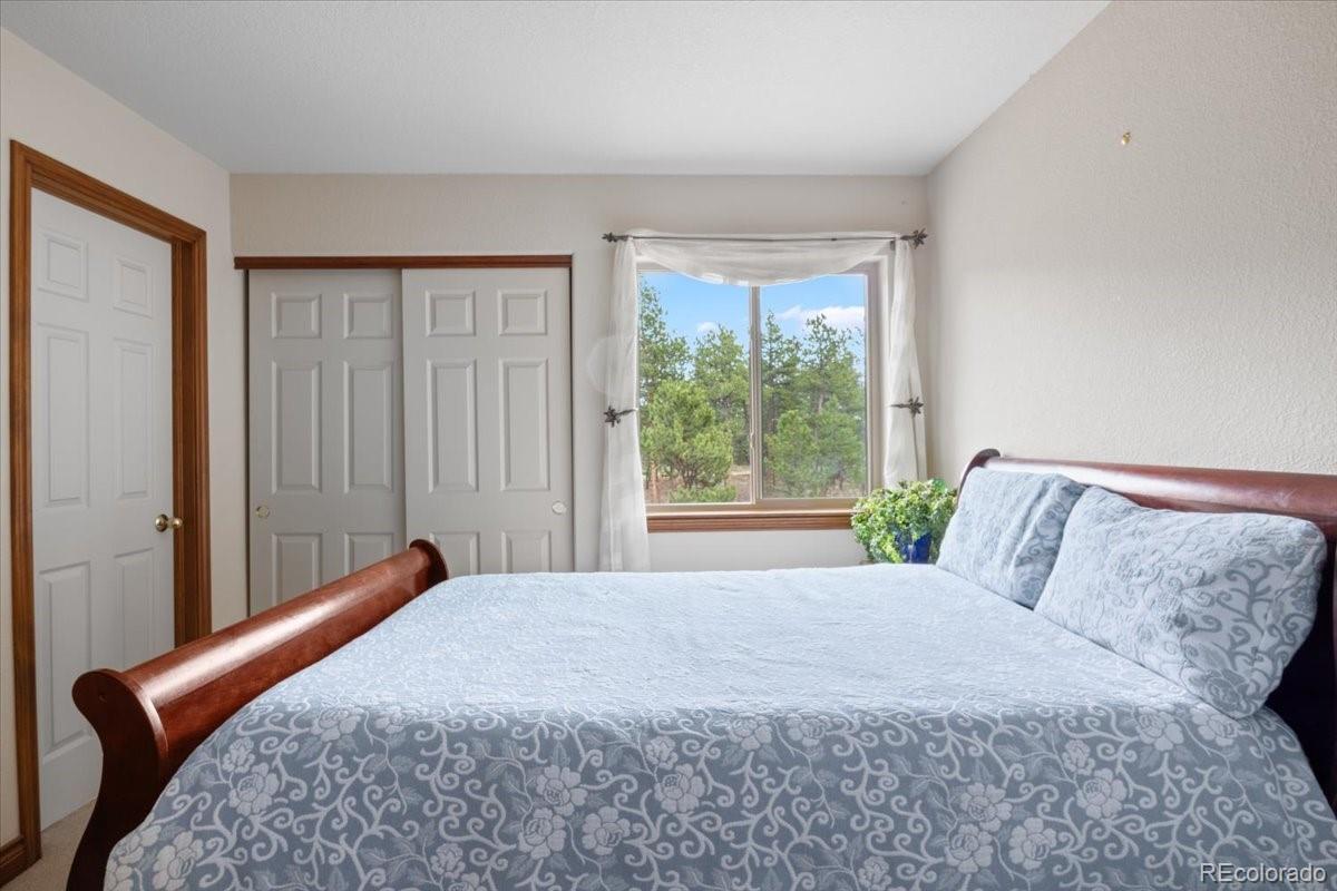 MLS Image #19 for 248  pine forest road,lake george, Colorado