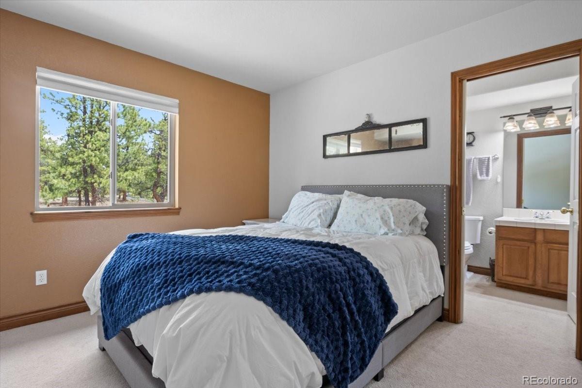 MLS Image #22 for 248  pine forest road,lake george, Colorado