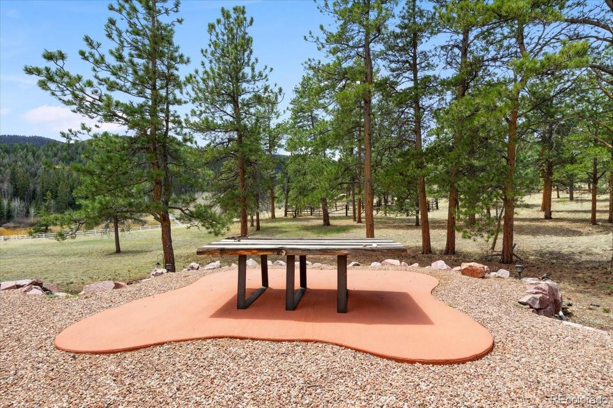 MLS Image #27 for 248  pine forest road,lake george, Colorado