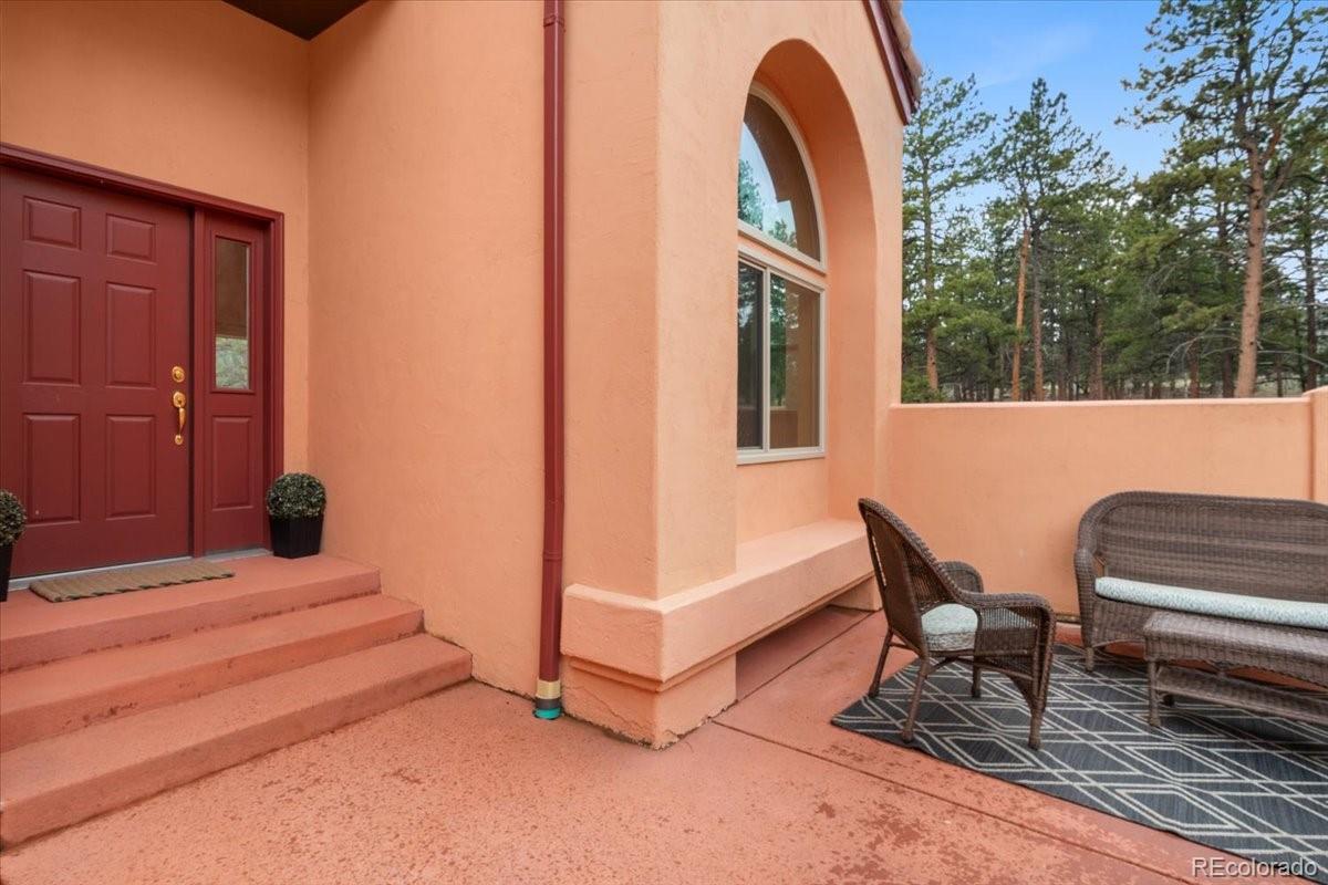 MLS Image #3 for 248  pine forest road,lake george, Colorado
