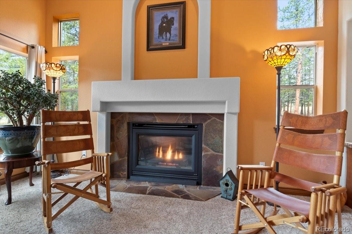 MLS Image #4 for 248  pine forest road,lake george, Colorado