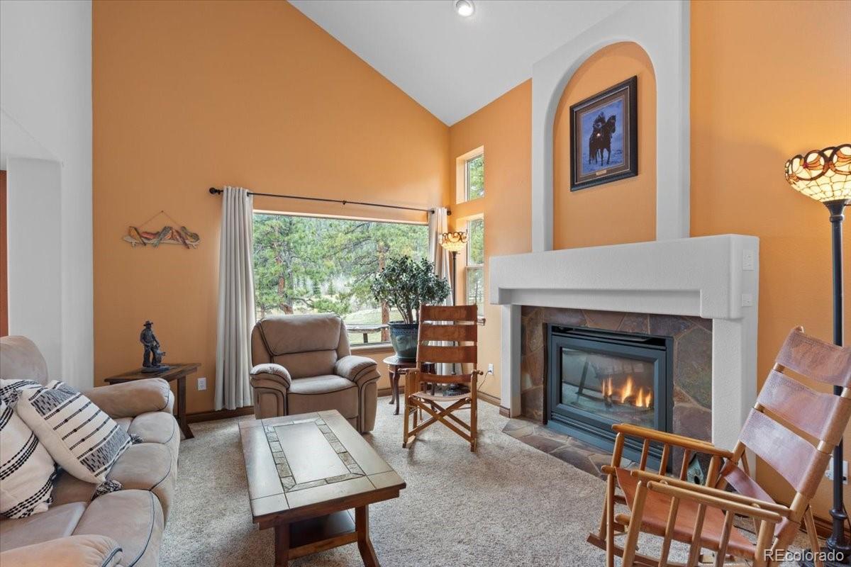 MLS Image #5 for 248  pine forest road,lake george, Colorado