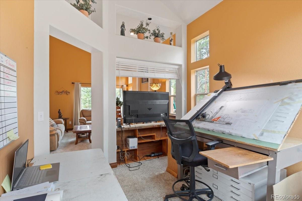MLS Image #6 for 248  pine forest road,lake george, Colorado