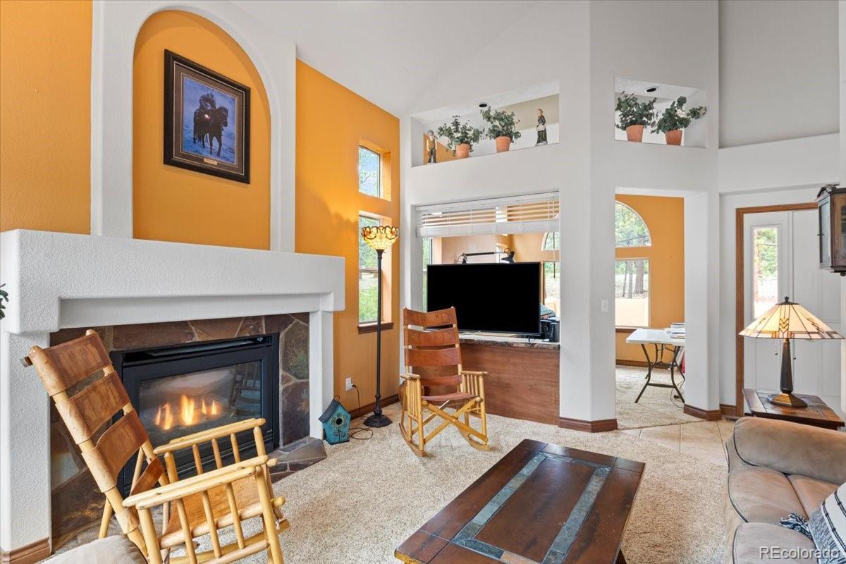 MLS Image #7 for 248  pine forest road,lake george, Colorado