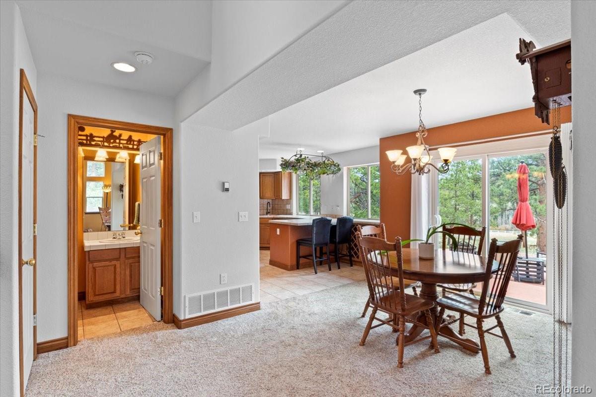 MLS Image #8 for 248  pine forest road,lake george, Colorado