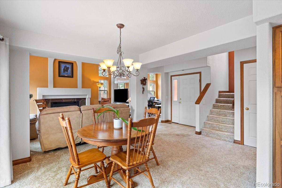 MLS Image #9 for 248  pine forest road,lake george, Colorado