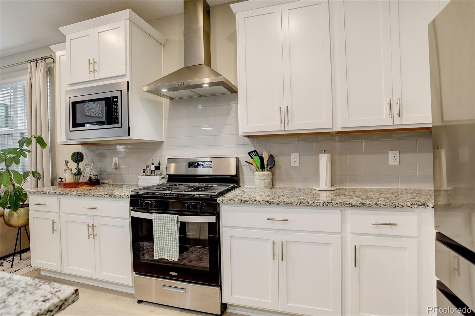MLS Image #9 for 9279  merino court,littleton, Colorado