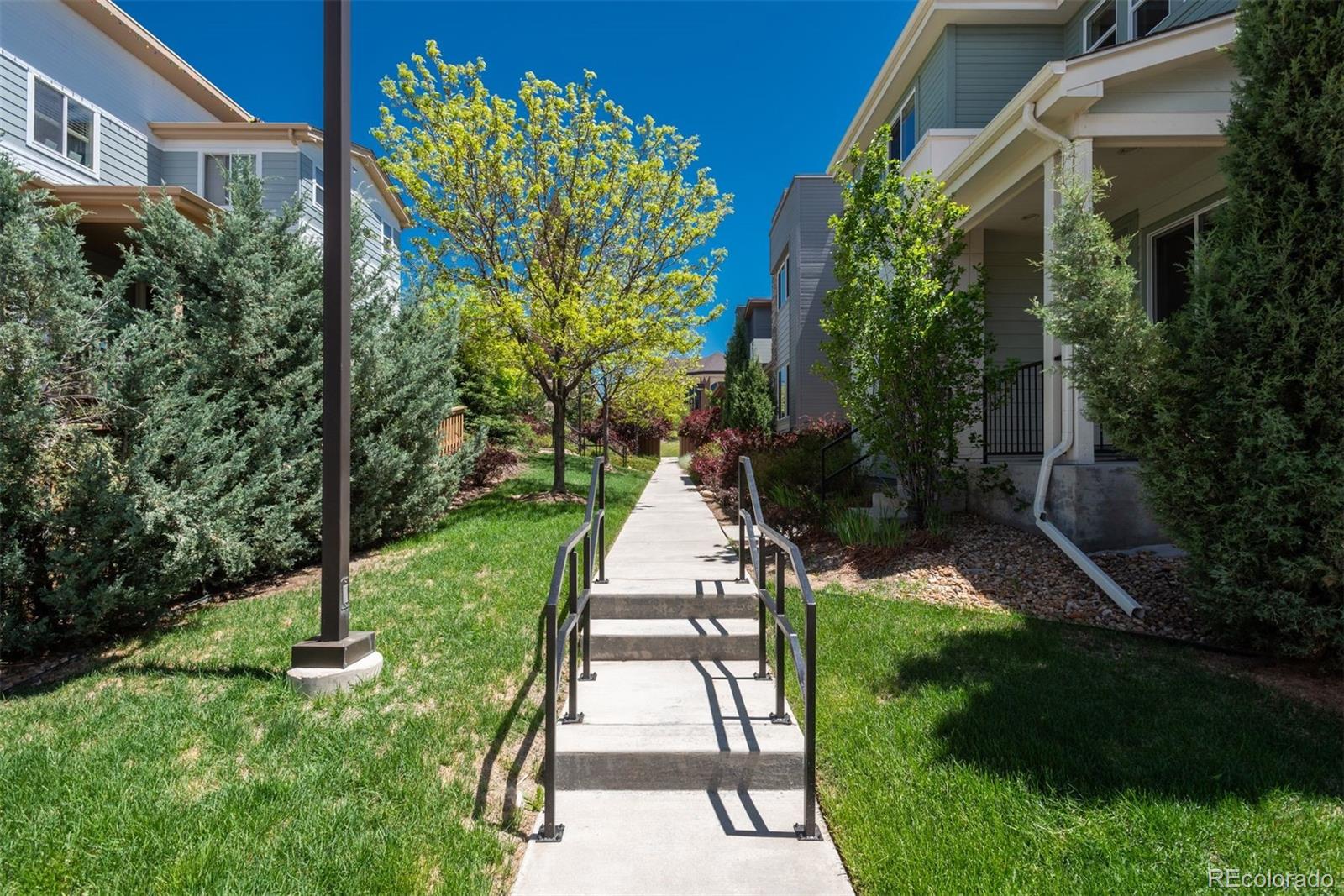 MLS Image #34 for 9781  dunning circle,highlands ranch, Colorado