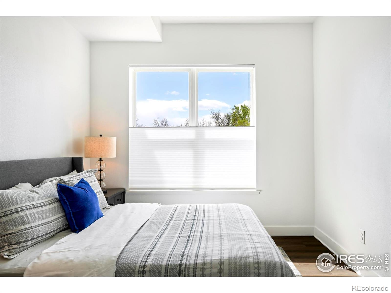 MLS Image #4 for 1707  walnut street,boulder, Colorado