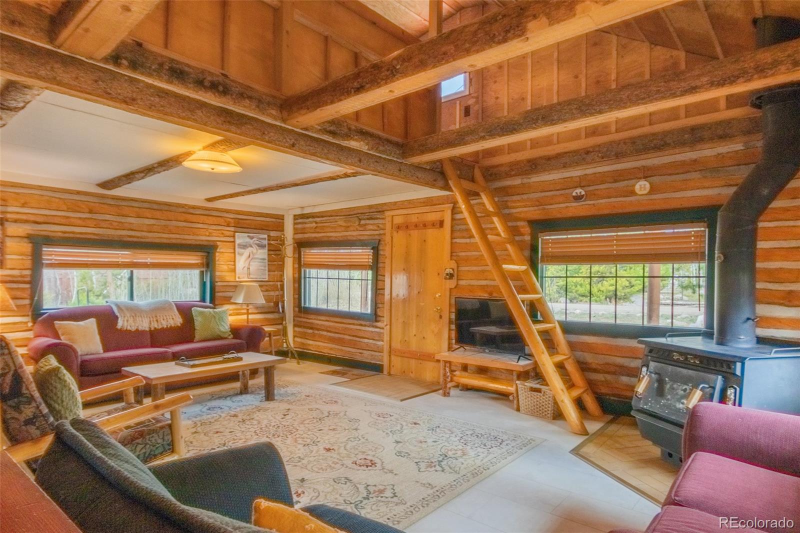 MLS Image #6 for 14  gcr 4451 ,grand lake, Colorado