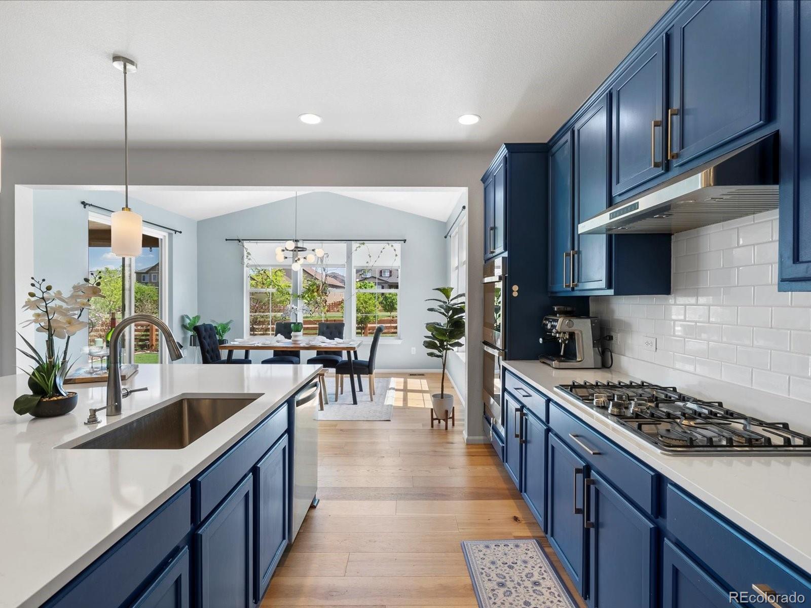 MLS Image #10 for 800  boulder peak avenue,erie, Colorado